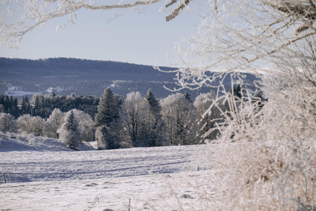 028_Paysages_d_hiver (1)