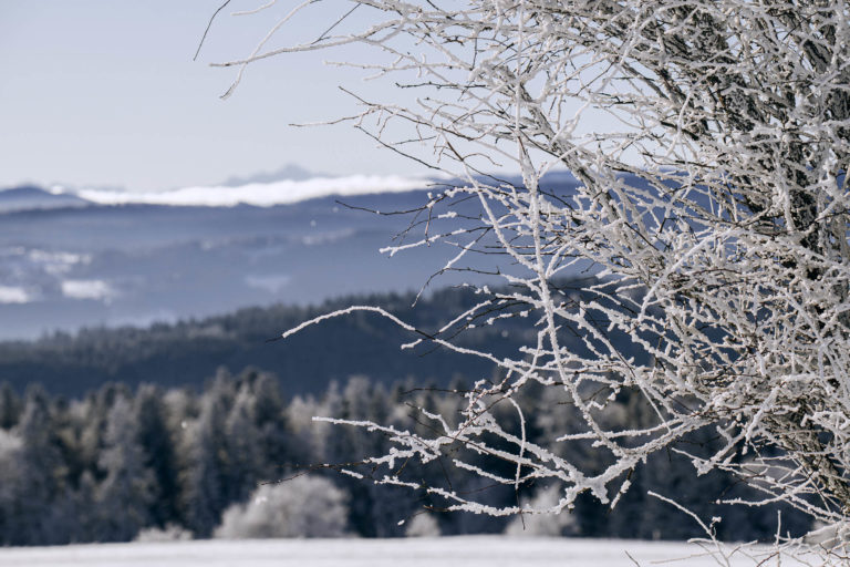Photo Paysages d&rsquo;hiver – Doubs