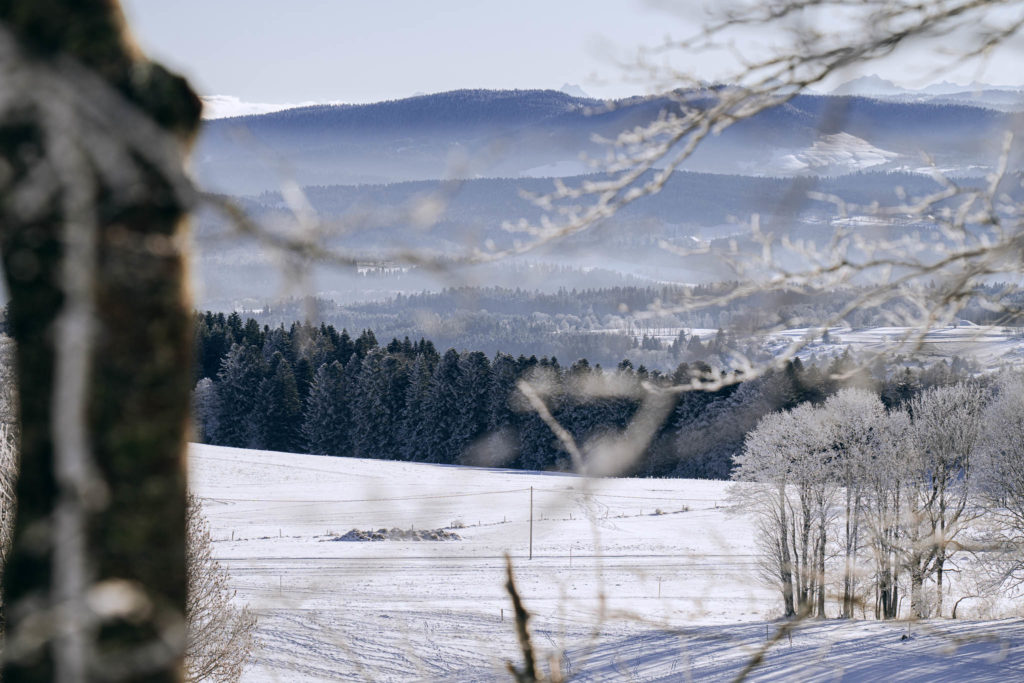 044_Paysages_d_hiver