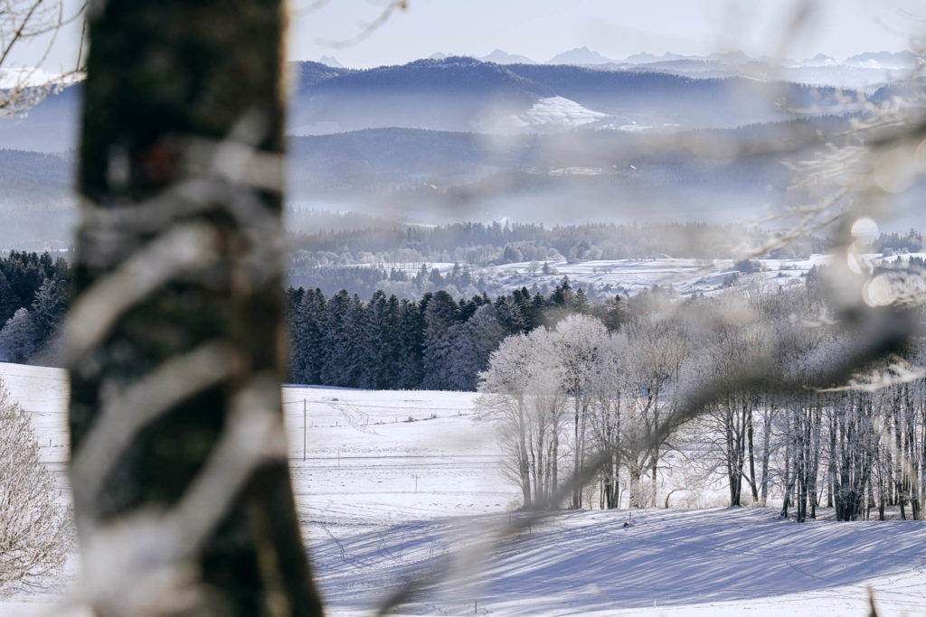 045_Paysages_d_hiver