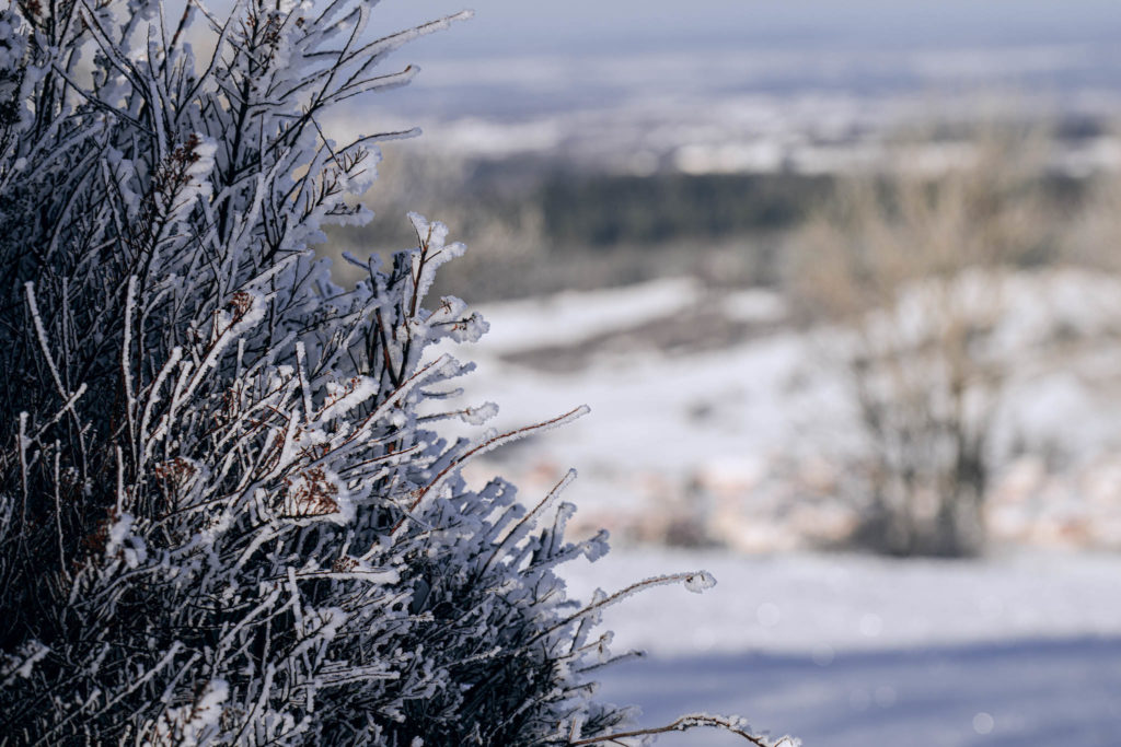 047_Paysages_d_hiver