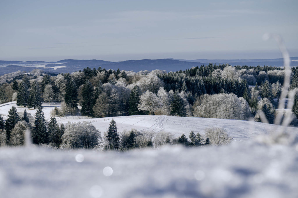 052_Paysages_d_hiver