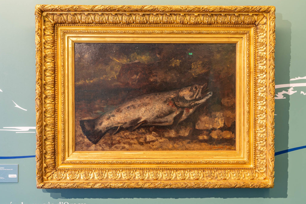 052_accrochage_truite_musee_Courbet