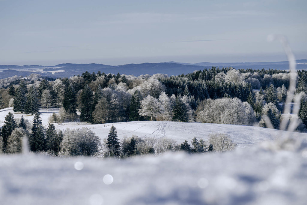 053_Paysages_d_hiver