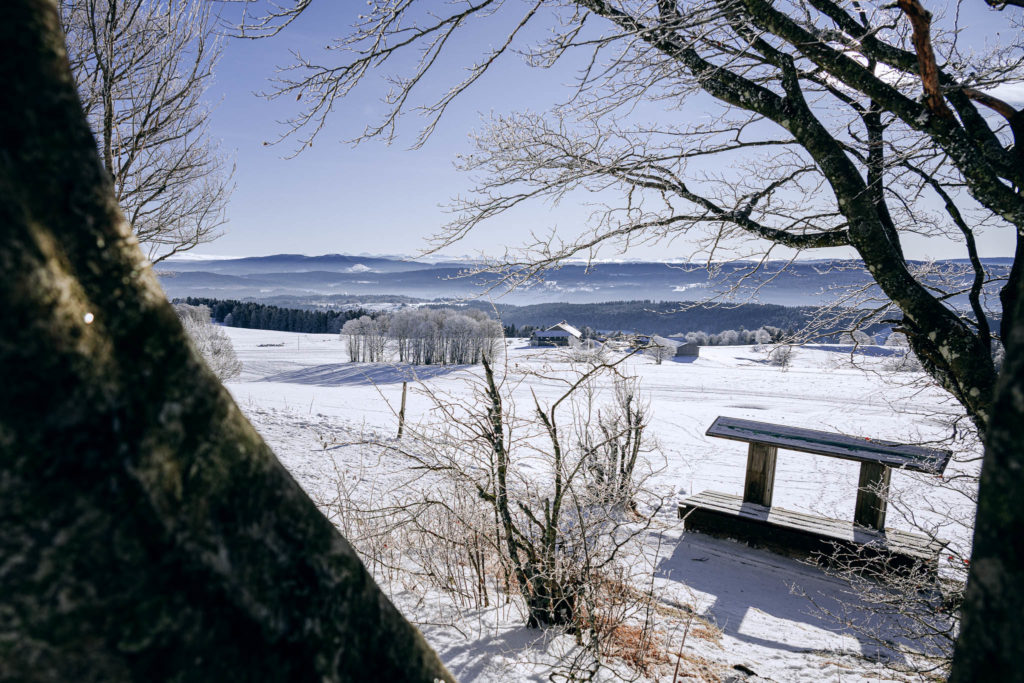 056_Paysages_d_hiver