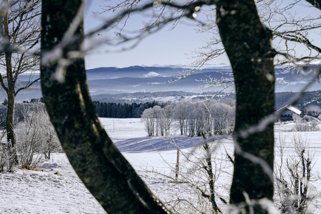 057_Paysages_d_hiver