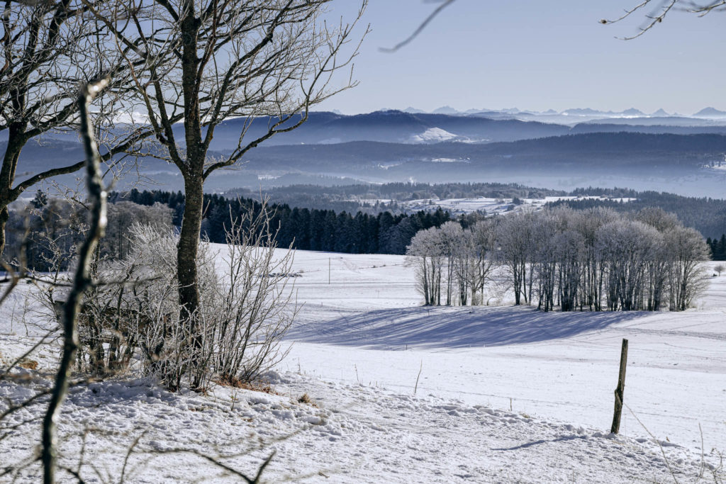 058_Paysages_d_hiver