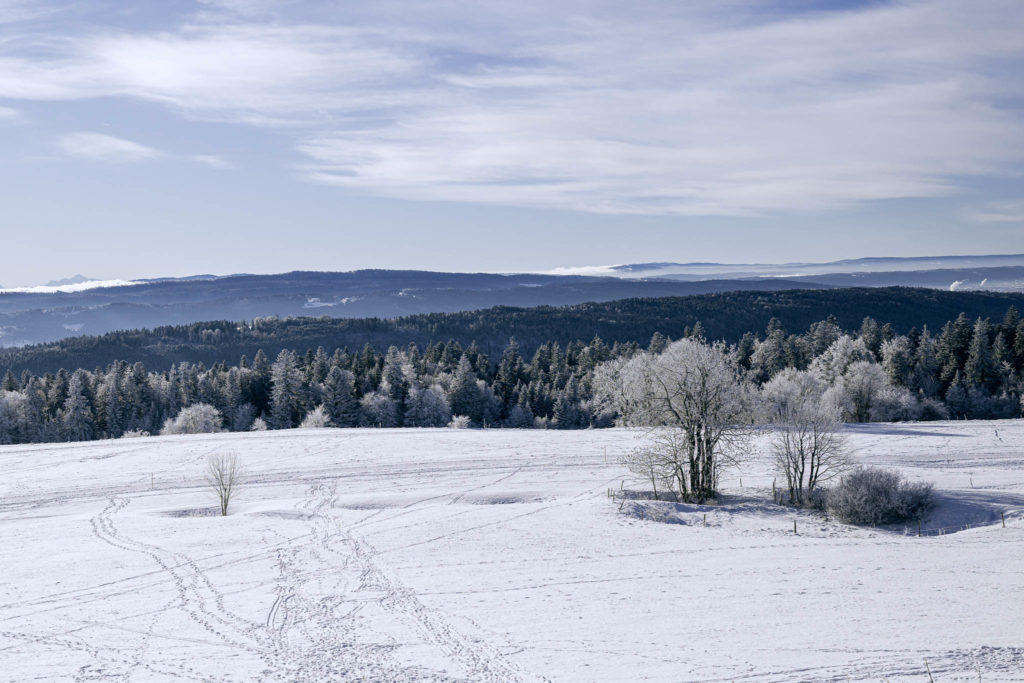 062_Paysages_d_hiver