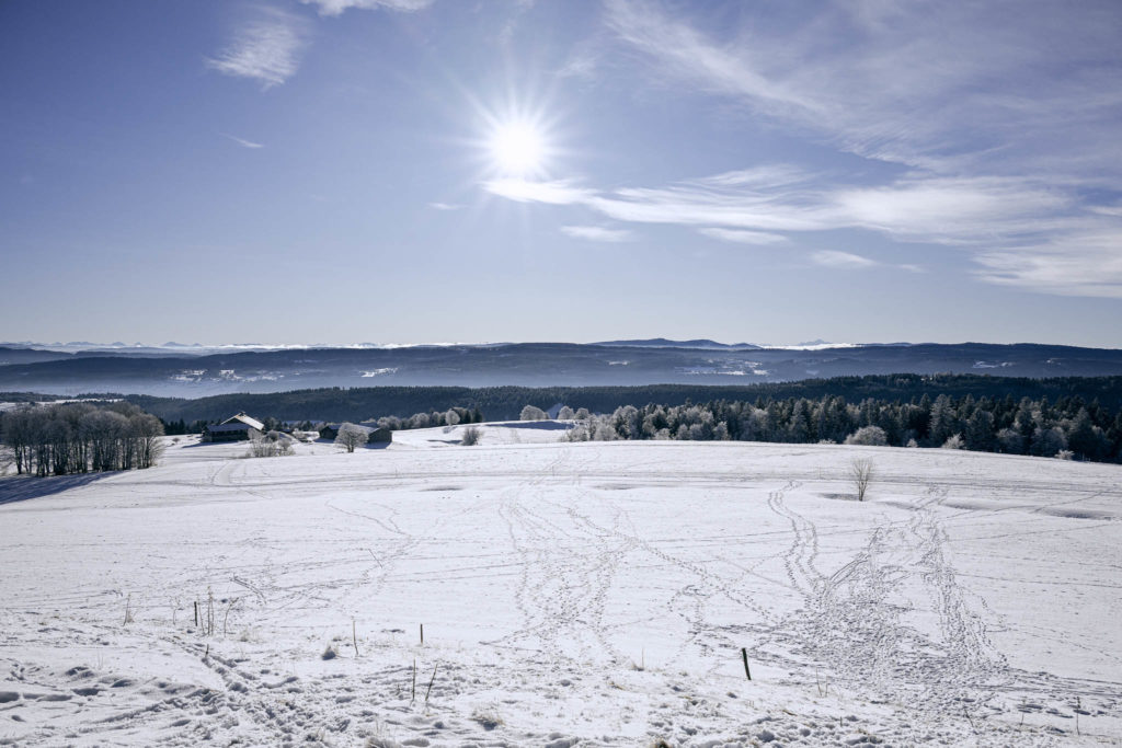 067_Paysages_d_hiver