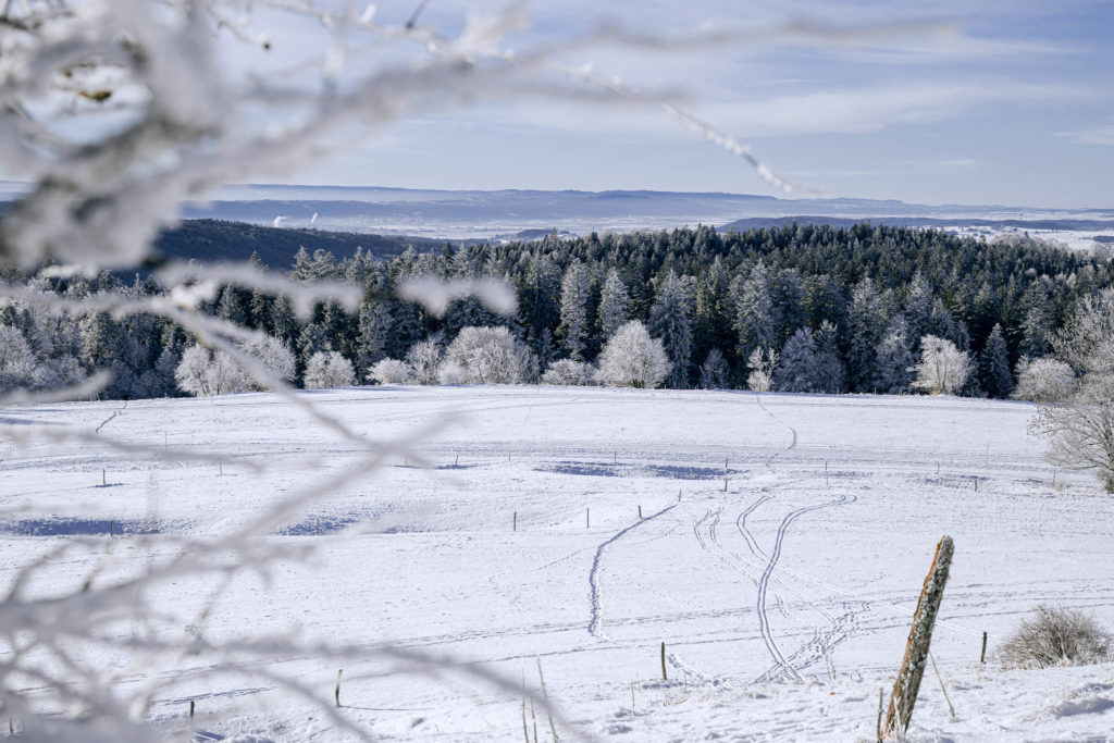 070_Paysages_d_hiver