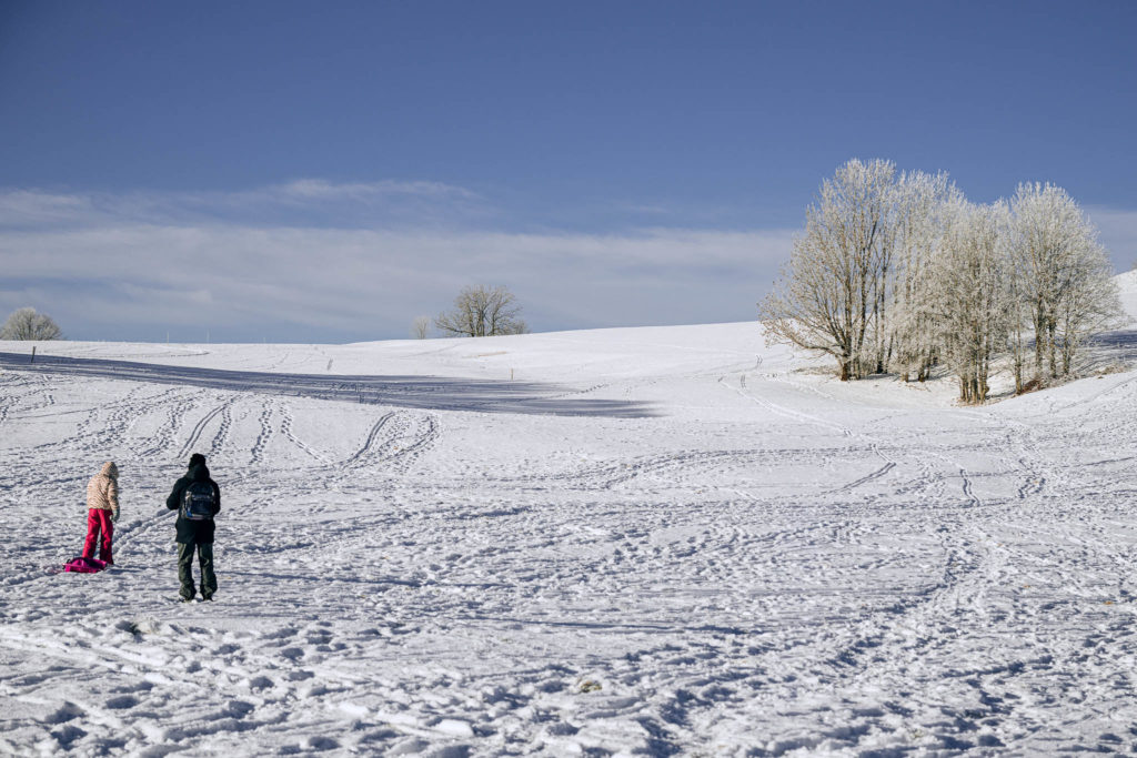 082_Paysages_d_hiver