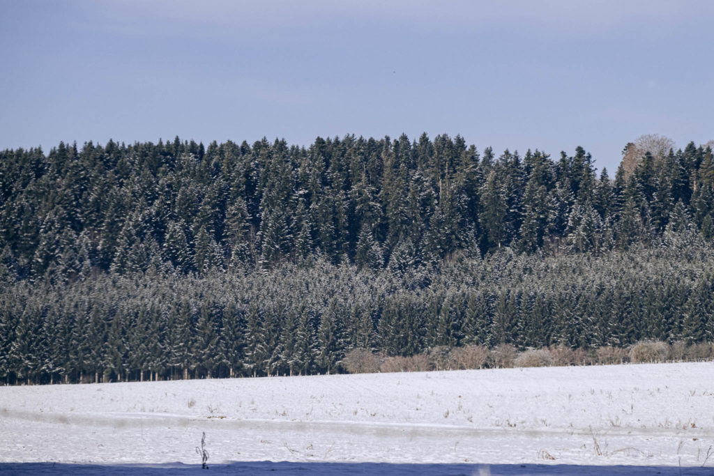 085_Paysages_d_hiver