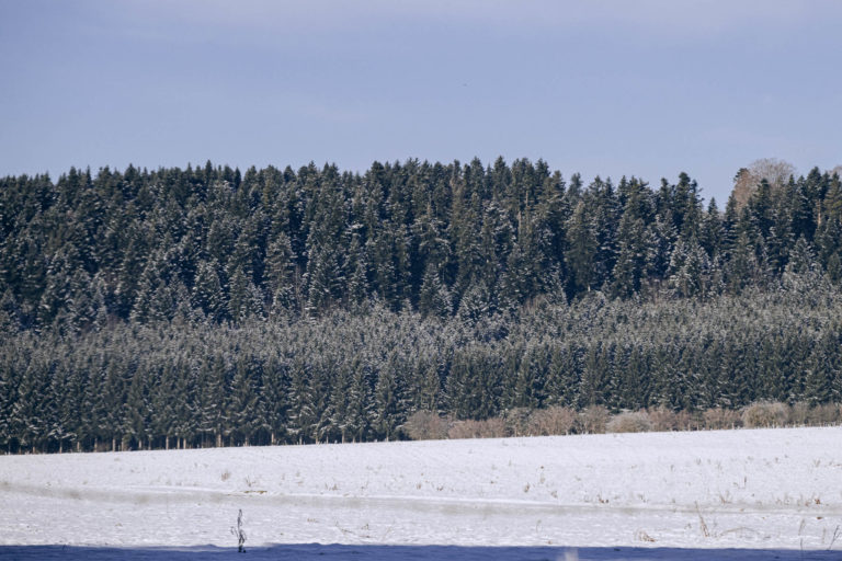 Photo Paysages d&rsquo;hiver – Doubs