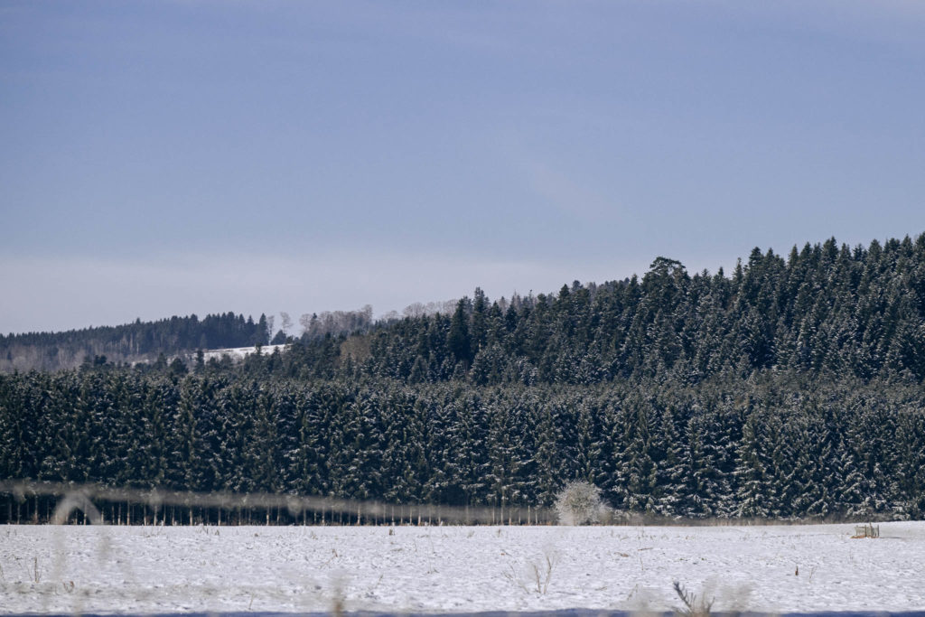 086_Paysages_d_hiver