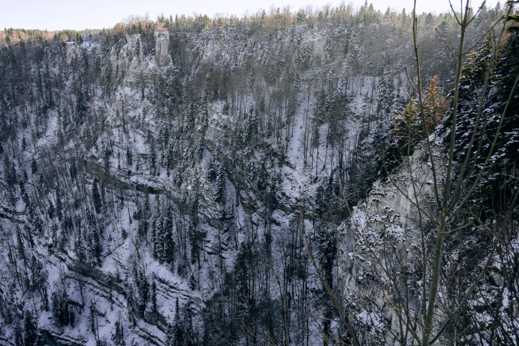 098_Paysages_d_hiver