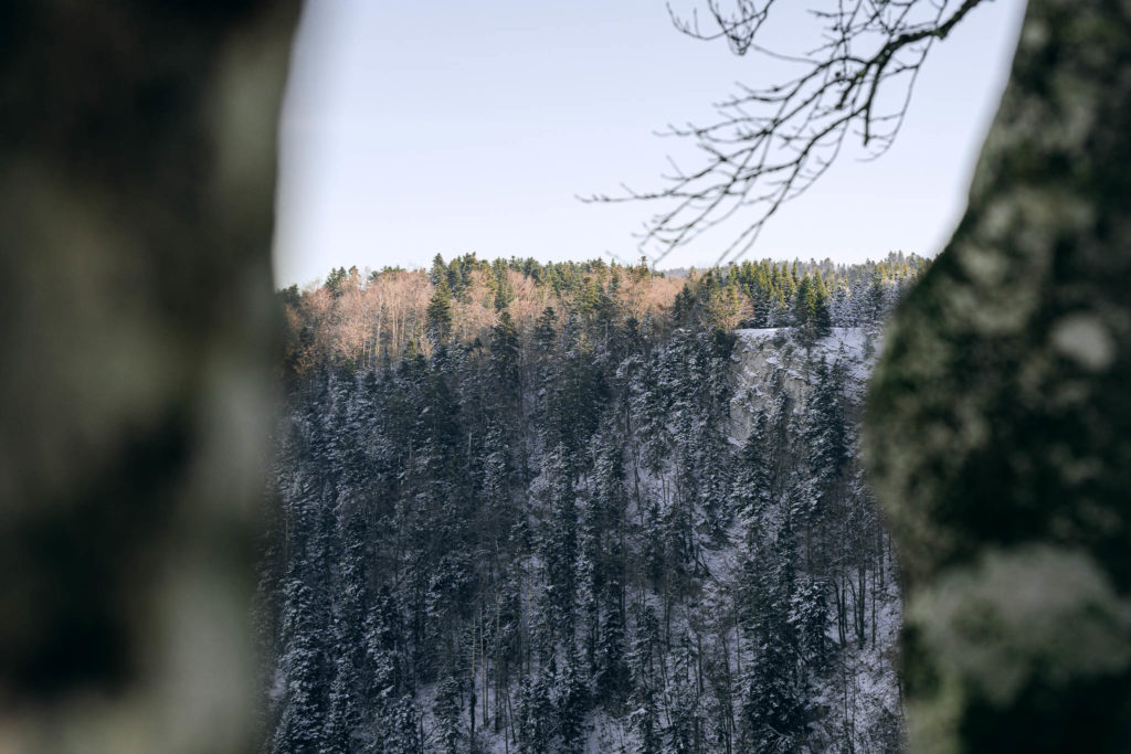 100_Paysages_d_hiver