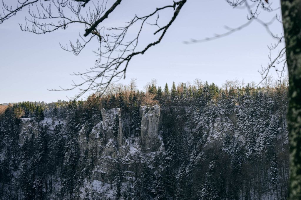 101_Paysages_d_hiver