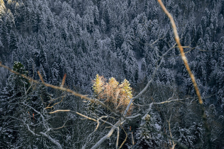Photo Paysages d&rsquo;hiver – Doubs