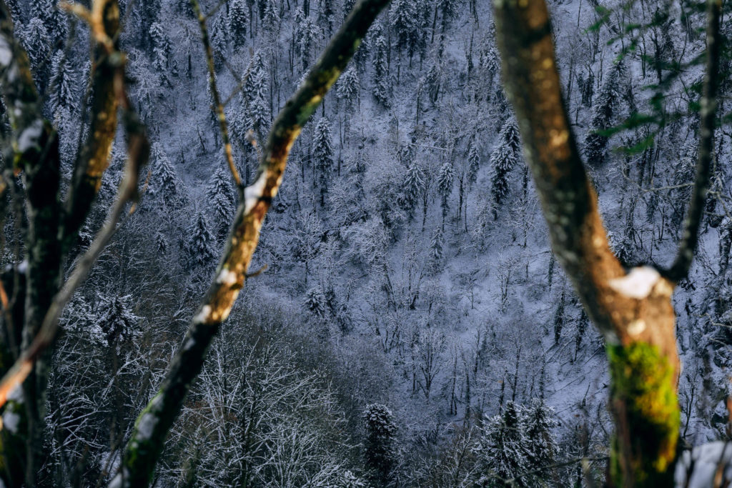 110_Paysages_d_hiver