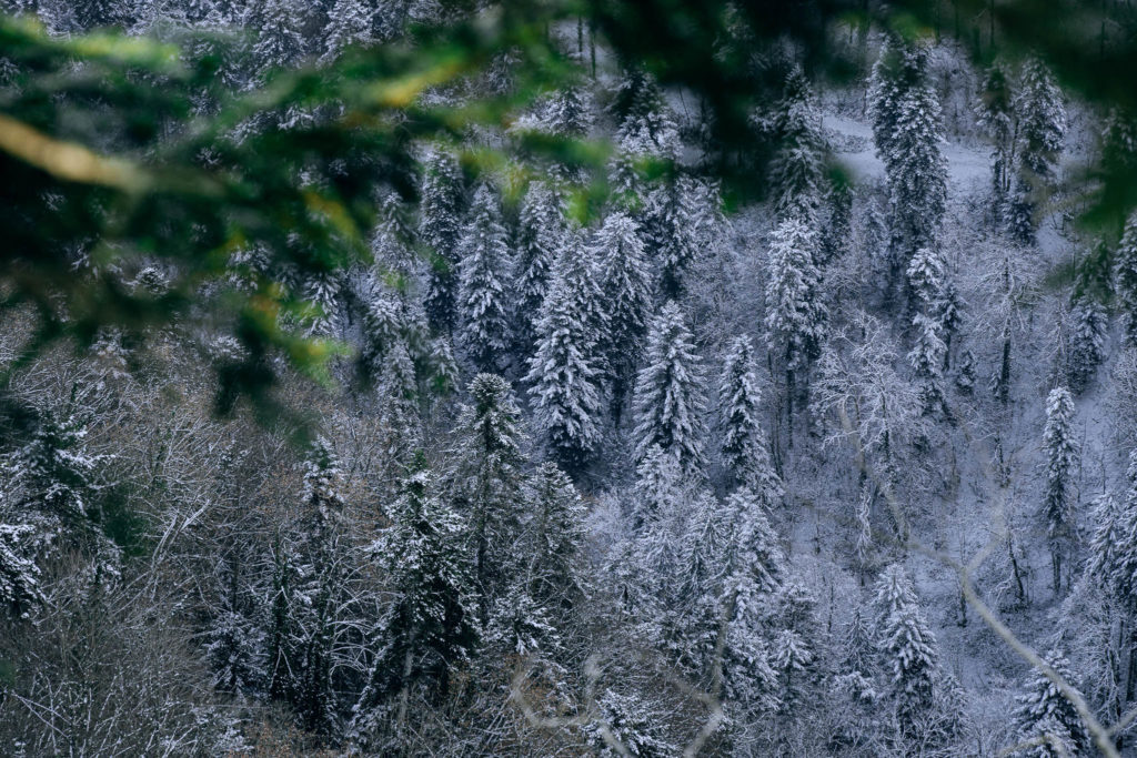 111_Paysages_d_hiver