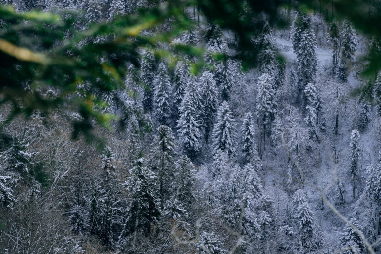 Photo Paysages d&rsquo;hiver – Doubs