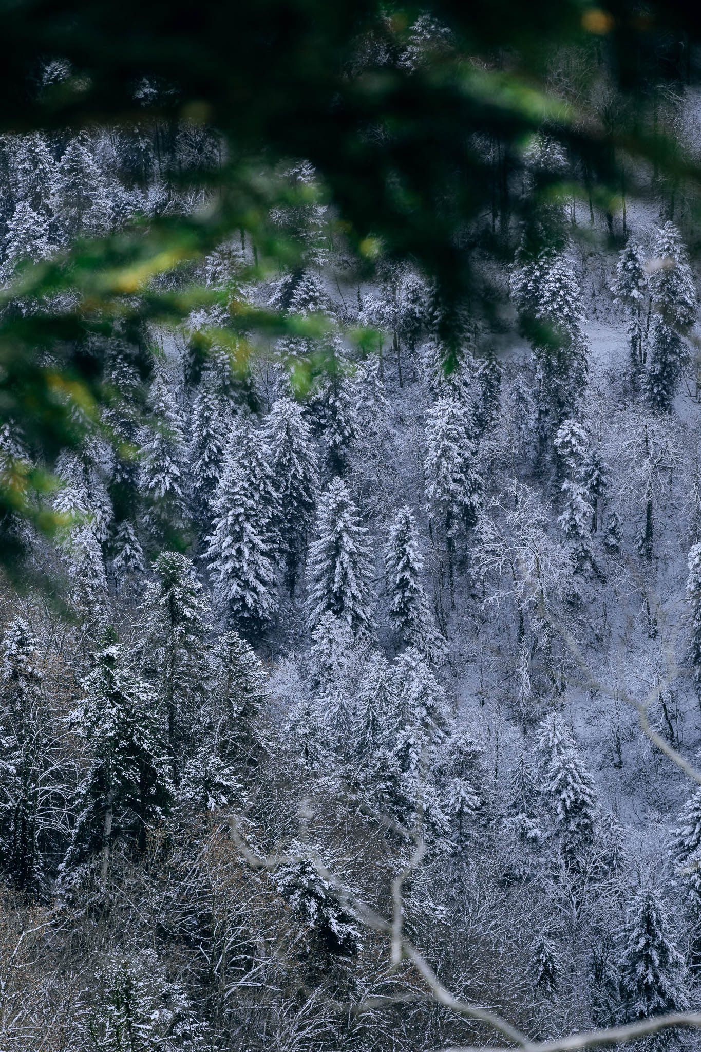Paysages d&rsquo;hiver – Doubs — photographie institutionnelle FLORSKA