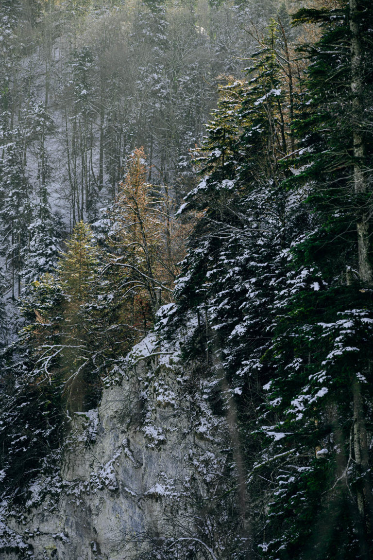 Photo Paysages d&rsquo;hiver – Doubs