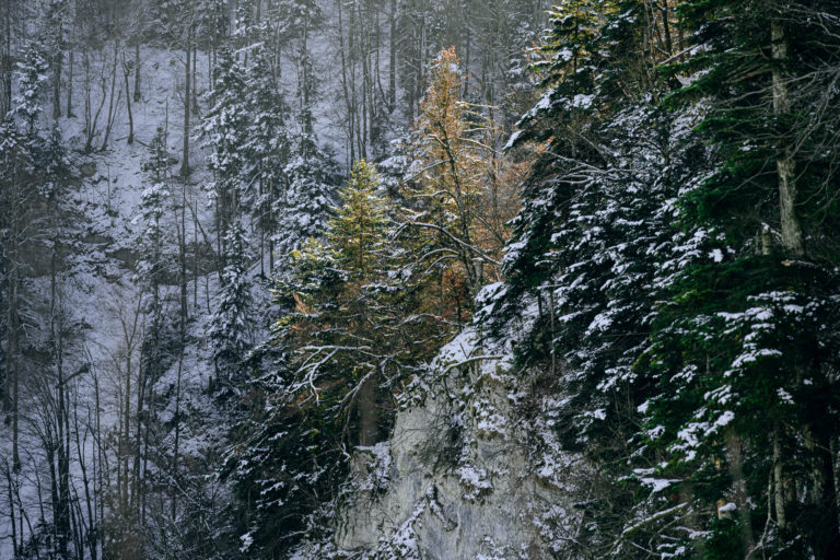 Photo Paysages d&rsquo;hiver – Doubs