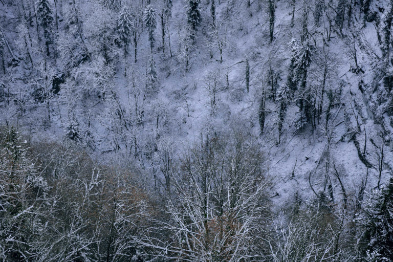 Photo Paysages d&rsquo;hiver – Doubs