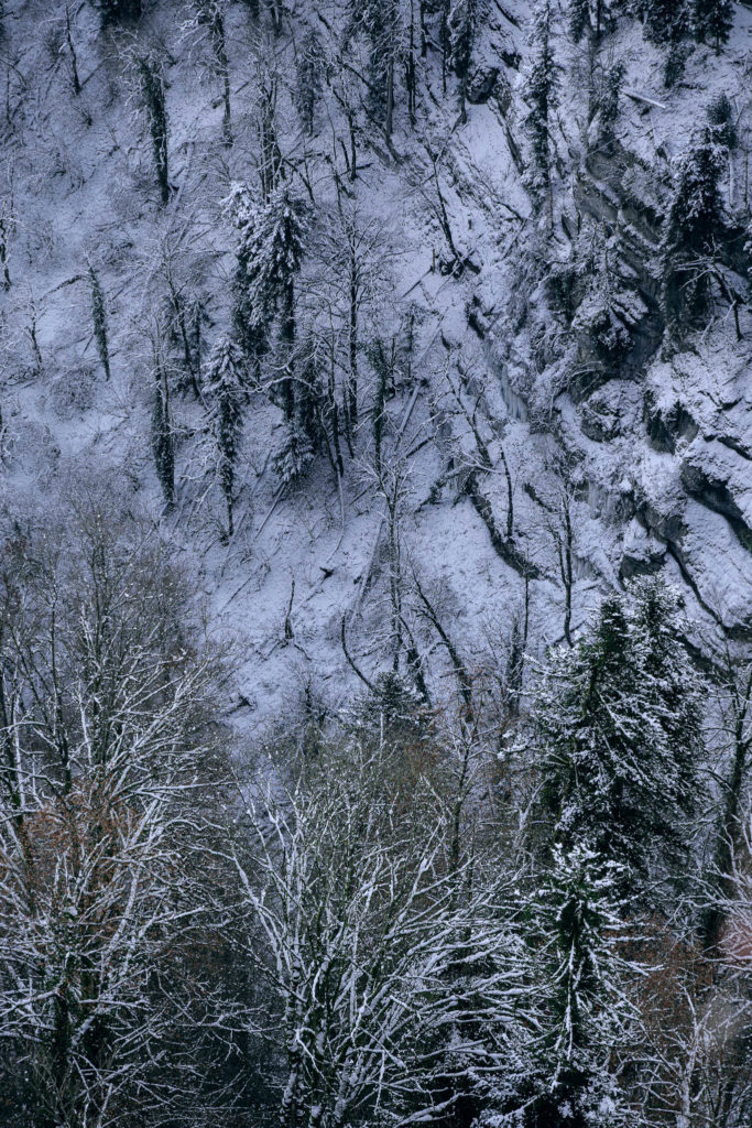 126_Paysages_d_hiver