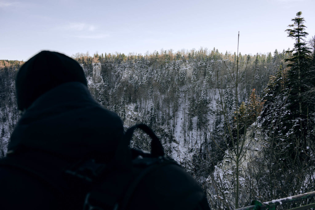 133_Paysages_d_hiver