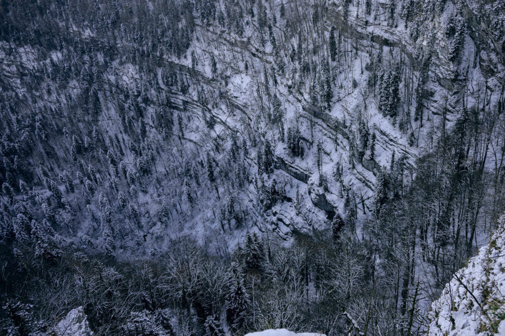 137_Paysages_d_hiver