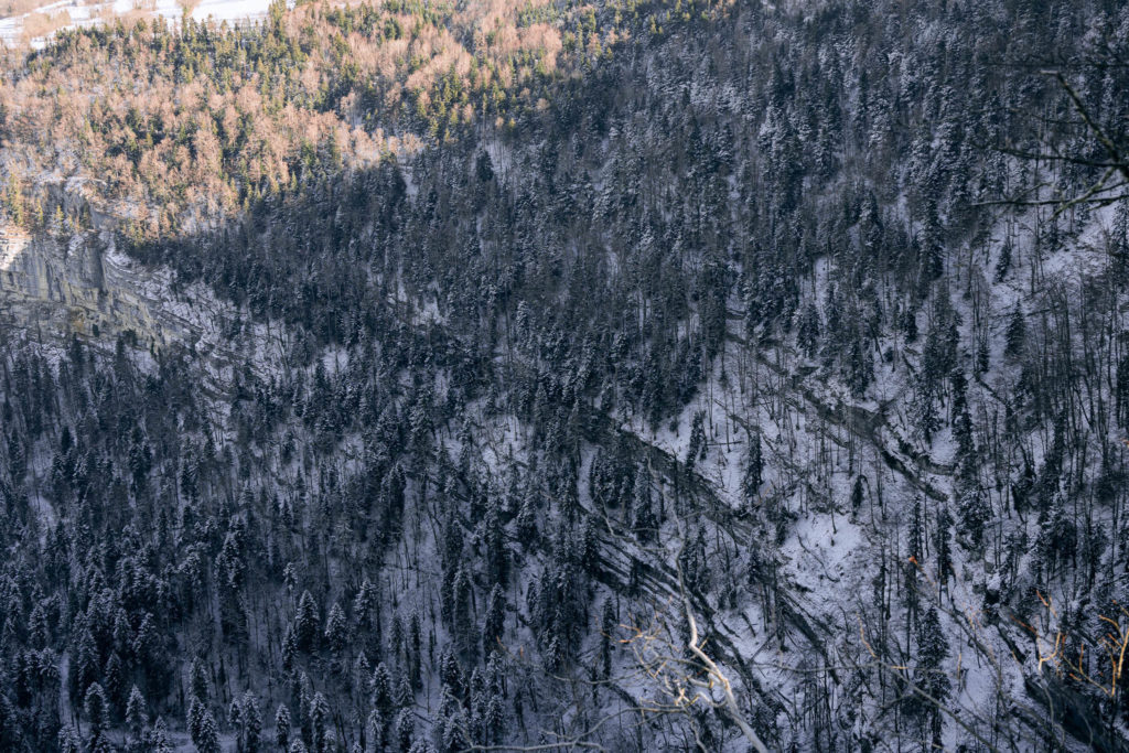 138_Paysages_d_hiver