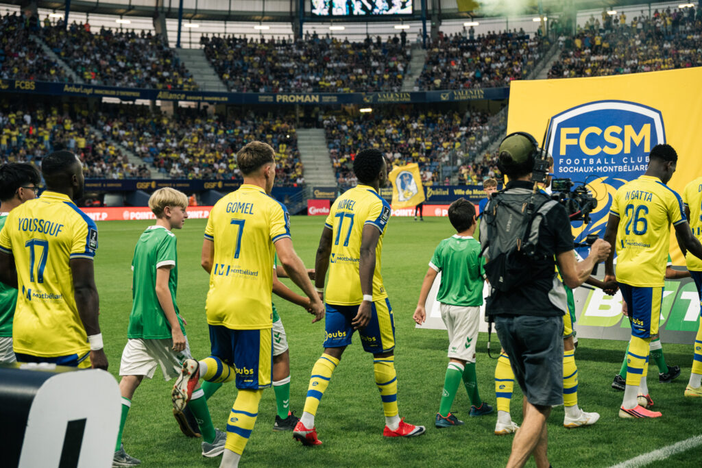 023_FCSM-VS-ASSE